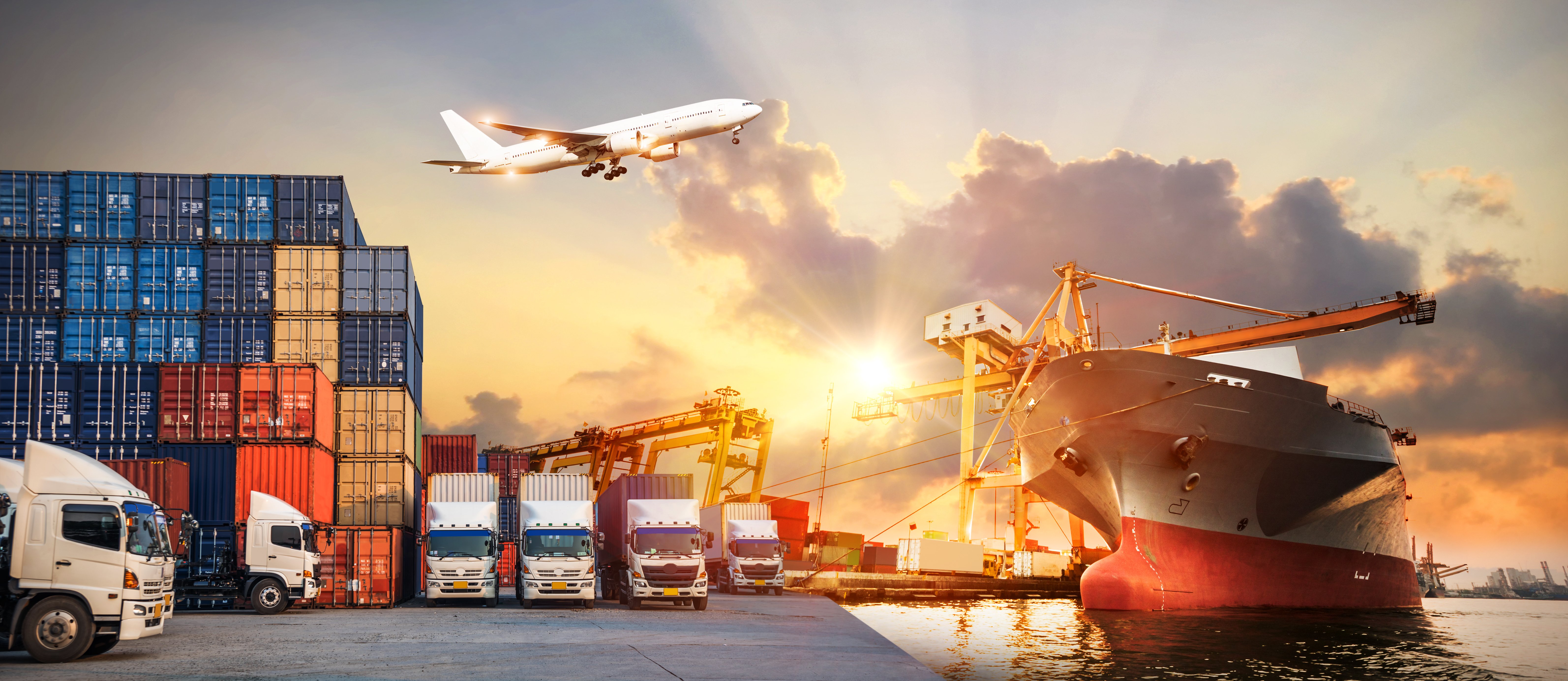 What is Cargo Movement? [INFOGRAPHIC]