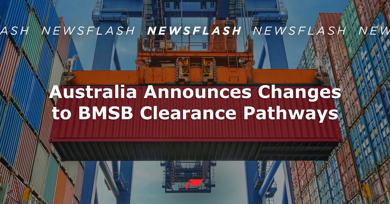 Australia Announces Changes to BMSB Clearance Pathways